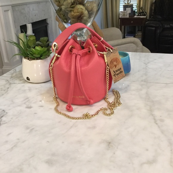 anna paola handbags